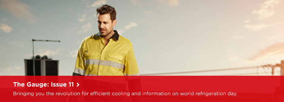 Max - Engineering assistance