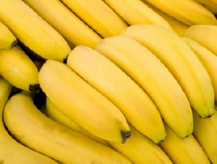 bananas square2