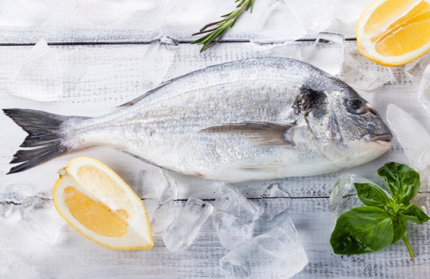 iStock 578816396 748x486px